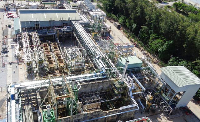 TPE Plant1