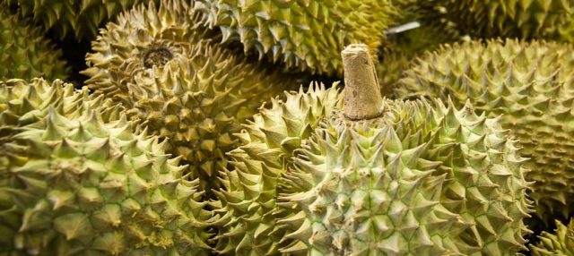 durian
