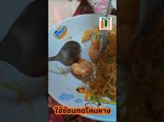 เทคนิคแกะกุ้ง มือไม่เลอะ